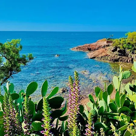 Superbe 4 Couchages Avec Terrasse - Clim - 50m De La * Saint-Raphael (Var)