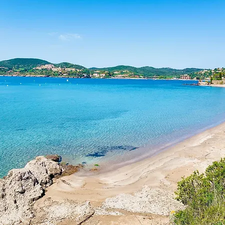 Superbe 4 Couchages Avec Terrasse - Clim - 50m De La 아파트 *